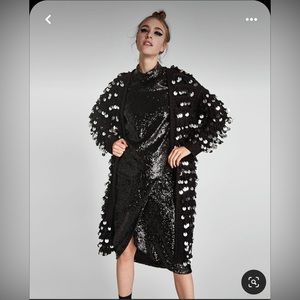 Limited Edition Zara Long Sequin Cardigan (2017)